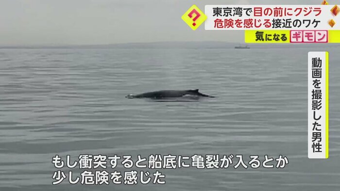(画像:ビデオポスト(視聴者投稿映像)より)