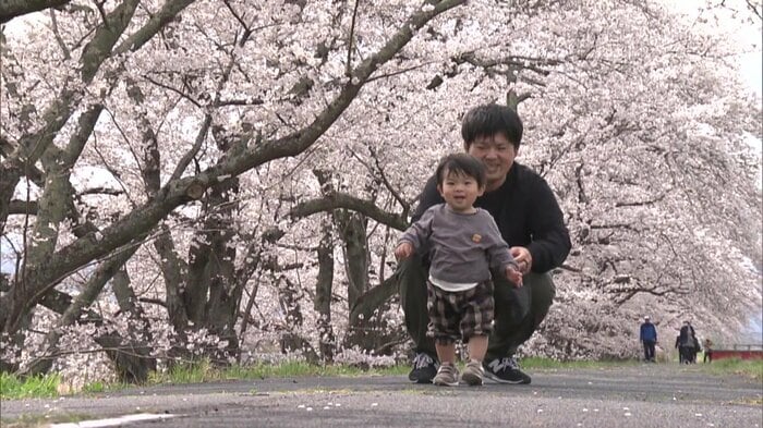 請戸川リバーライン(福島県浪江町)2025年4月10日撮影