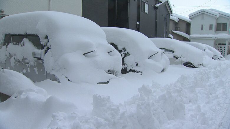 「心から帰りたい…」記録的“ドカ雪”で新潟市内混乱…交通機関麻痺で“帰宅難民”も　ゴミ収集車スタックに倒木の被害　勤務先の除雪作業に追われ「家からやっと出てきたのに」｜FNNプライムオンライン