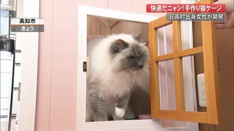 大好きな猫にかわいい“おうち”を…「ドールハウス型」ケージ　高知市の女性が10年かけて開発｜FNNプライムオンライン