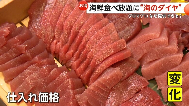 「お客さんはラッキー」“海のダイヤ”クロマグロの卸売価格が3割安？食べ放題ランチにも登場「黒潮大蛇行」収束の兆しで漁獲量は変わるのか？｜FNNプライムオンライン