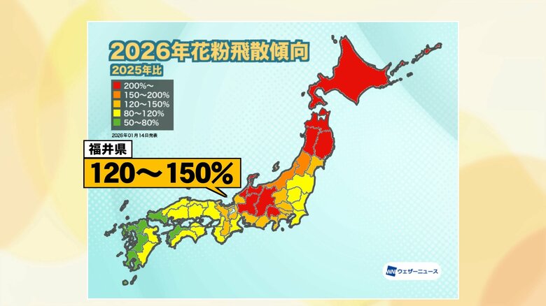 まもなく飛散…スギ花粉　福井は例年の2倍にも　2月後半から高温傾向につき要注意　｜FNNプライムオンライン