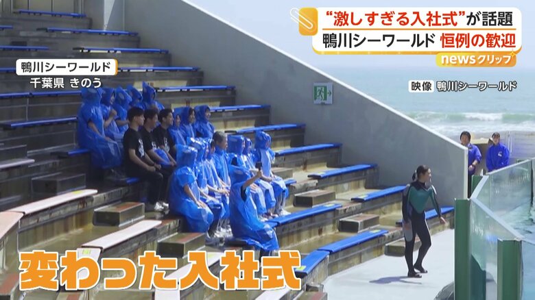 “激しすぎる入社式”鴨川シーワールドでシャチが豪快な水かけ　“新入生らしくない”新入生…元教師が華麗な転身｜FNNプライムオンライン