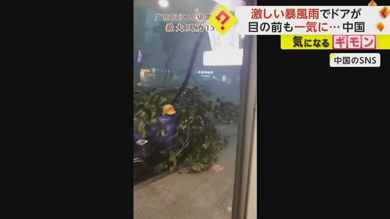 強風で木が倒れ、バイクを直撃している