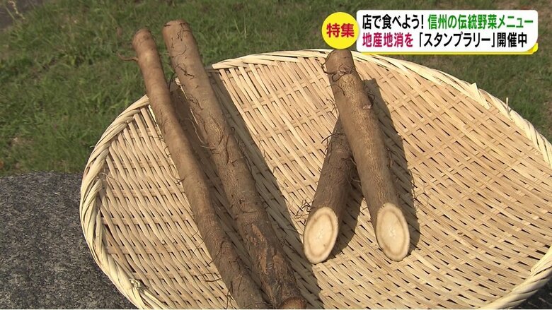 村山早生ごぼう