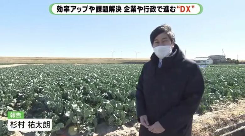 「アイファーム」のブロッコリー畑（浜松市）