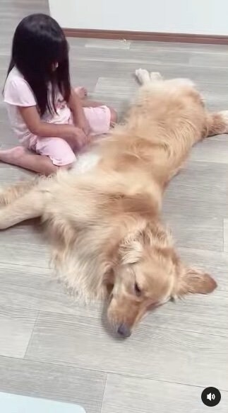 提供：西村 まひろさん