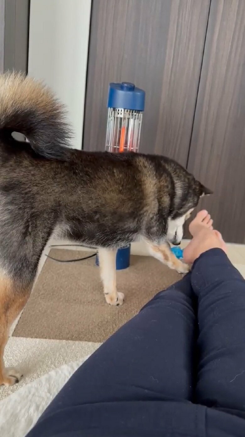 「ちょっとどいてください」