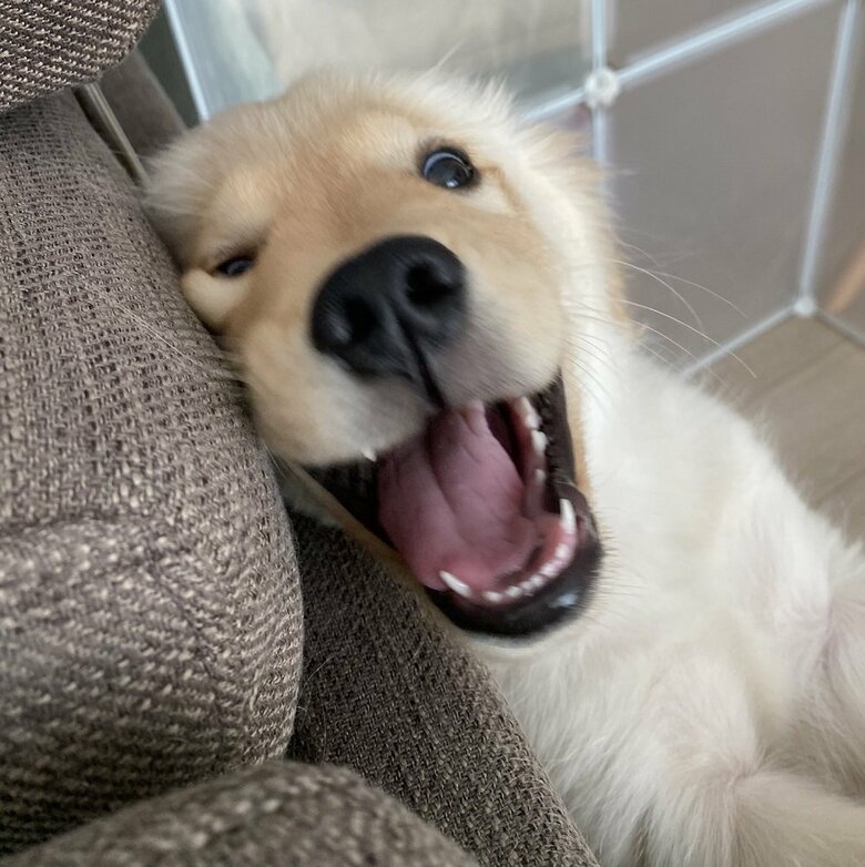 おてんばな女の子　いつも楽しそうにしているという