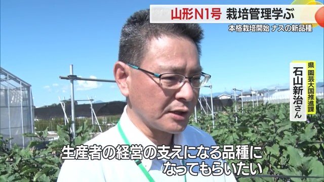 県の担当者も、生産の拡大・生産者の経営の安定につながることを期待している