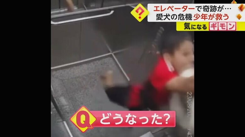 必死の表情でしがみつく少年
