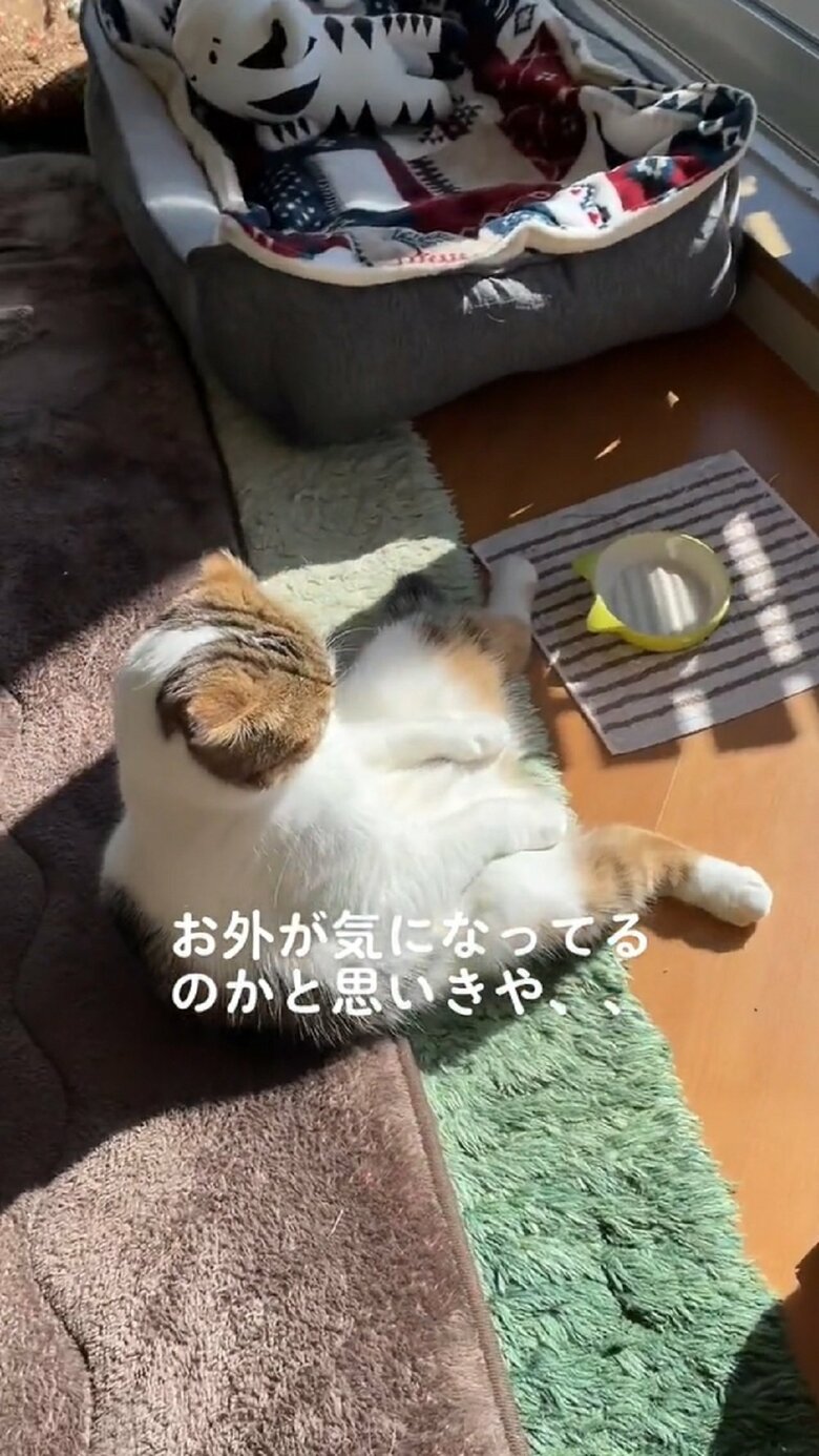 回り込んで