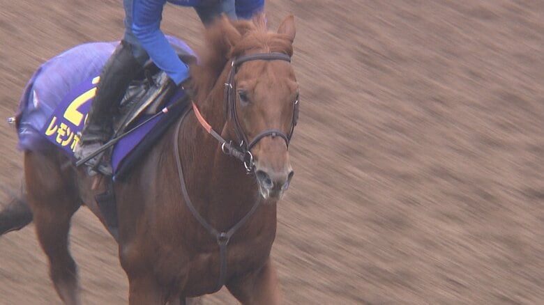 レモンポップ最終追い切り