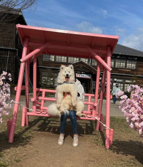 提供：ibukimama38さん