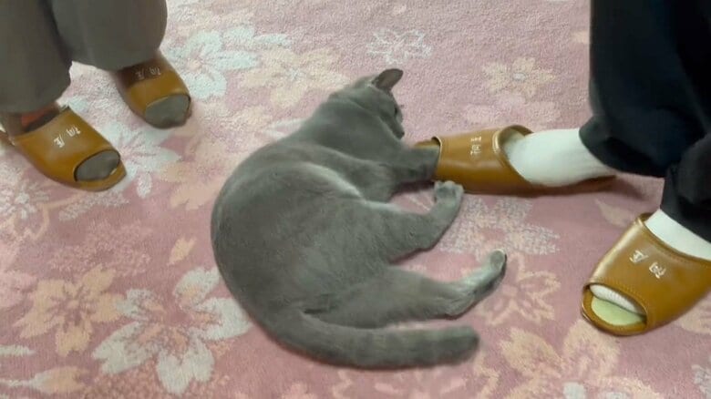 お客とスリッパで遊ぶ様子（桐屋旅館のTwitterより）