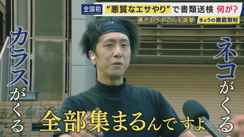 “エサやり行為”を見た人