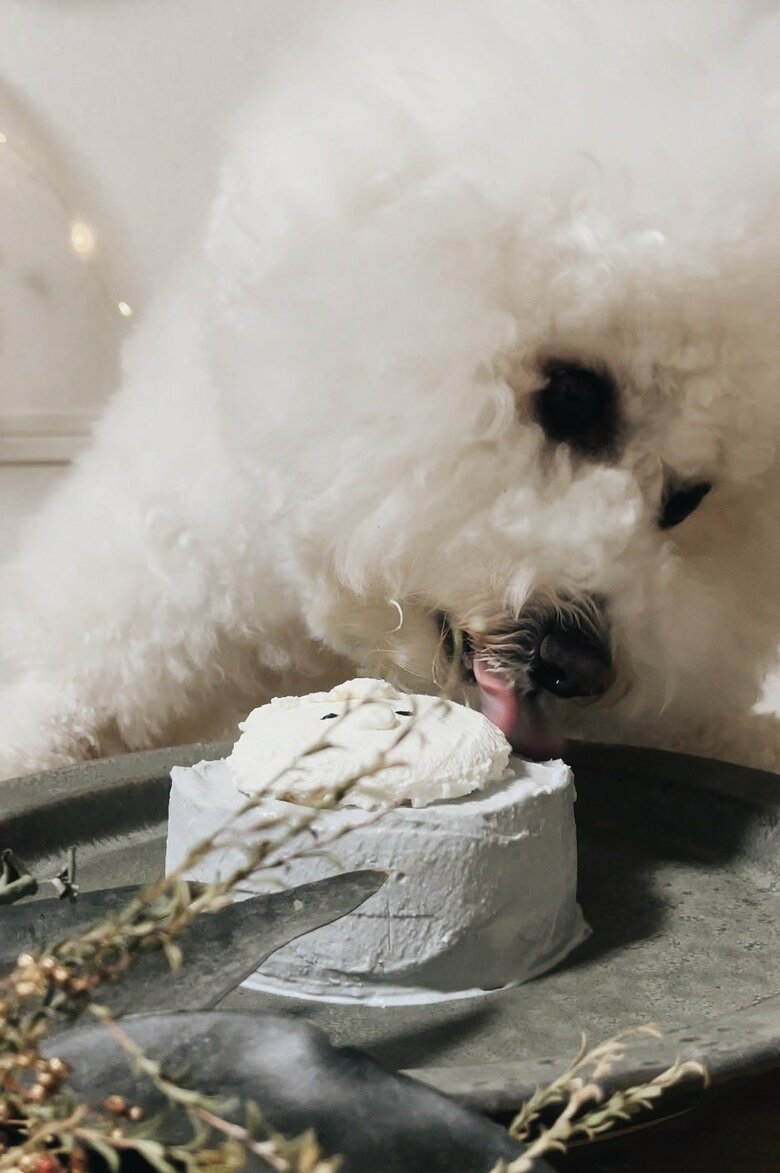 誕生日ケーキを味わう様子