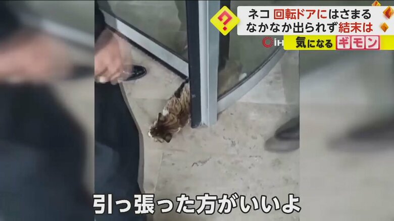 回転ドアにはさまれ、身動きがとれなくなっているネコを助けようとする通行人たち