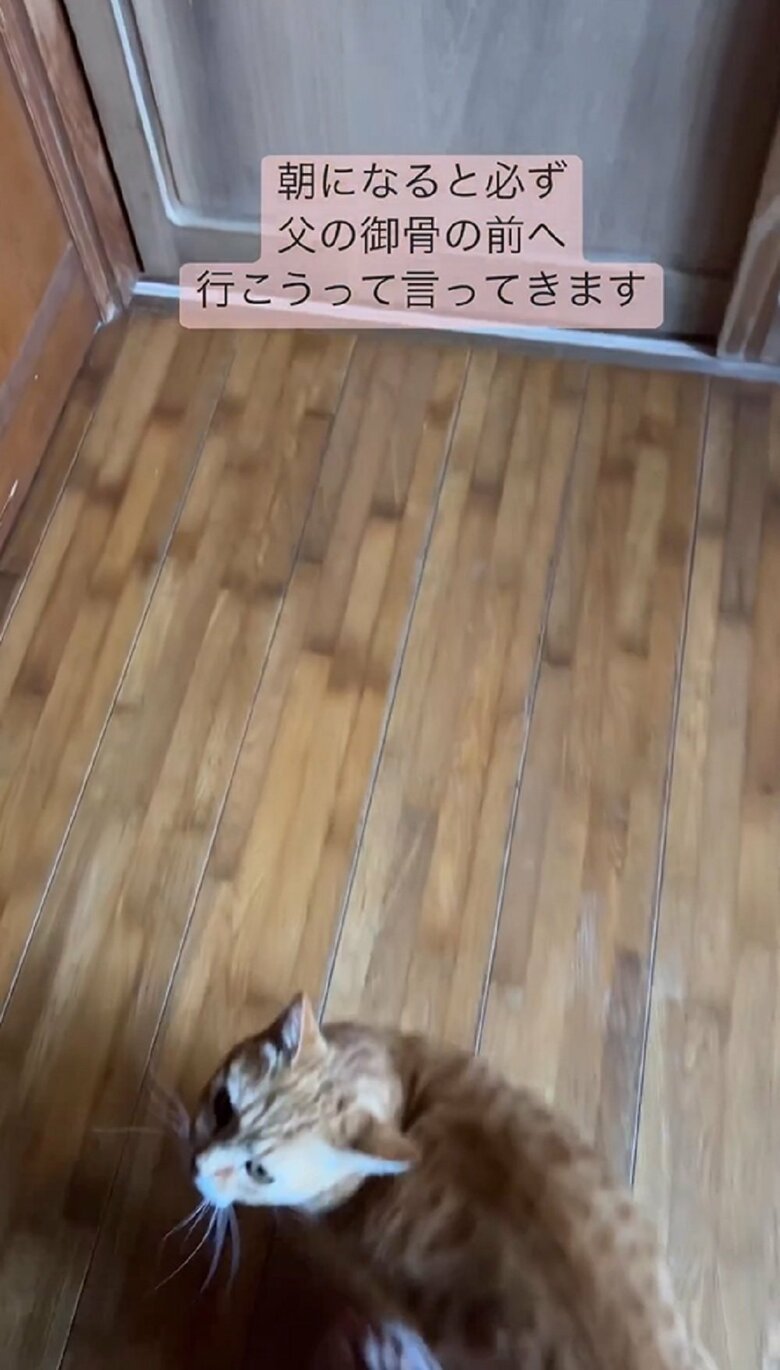 先にはもう1つの扉が「しまってるよー」