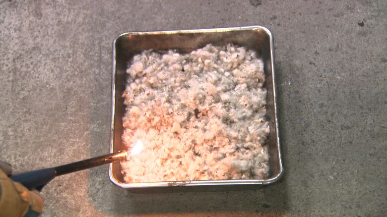 ポプラの綿毛に火をつけると…