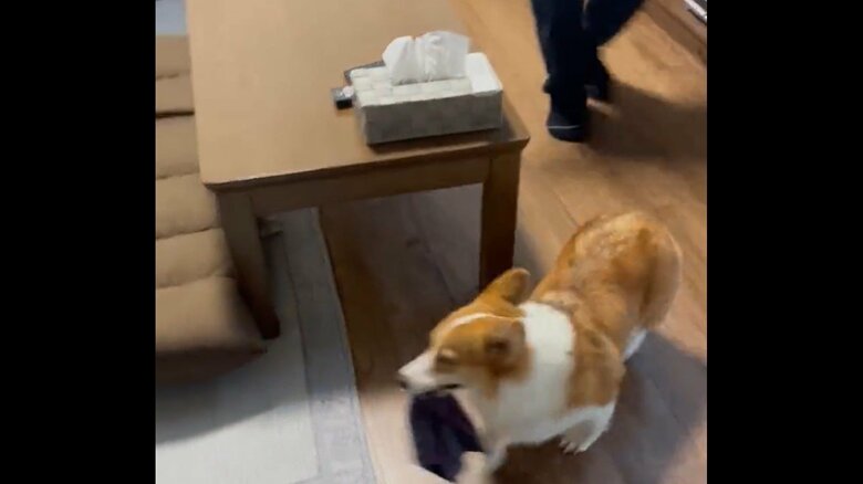 お父さんとの追いかけっこ　その2