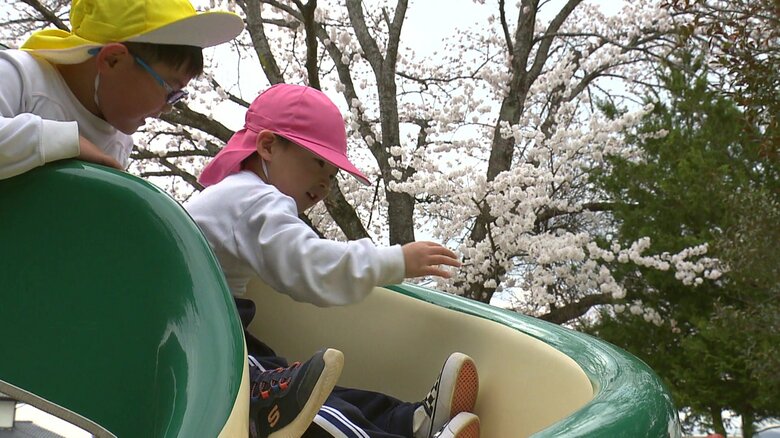 サクラが見守る中遊ぶ園児たち