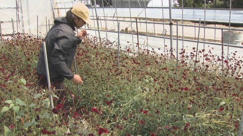 桑原海選手（25）