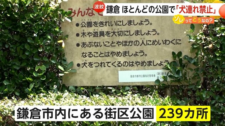 市内に239カ所の街区公園がある神奈川・鎌倉市