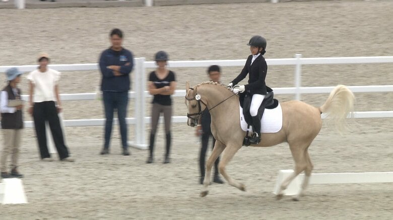 馬場馬術のジュニア全国大会
