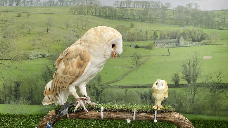 紙のメンフクロウと並ぶアイちゃん