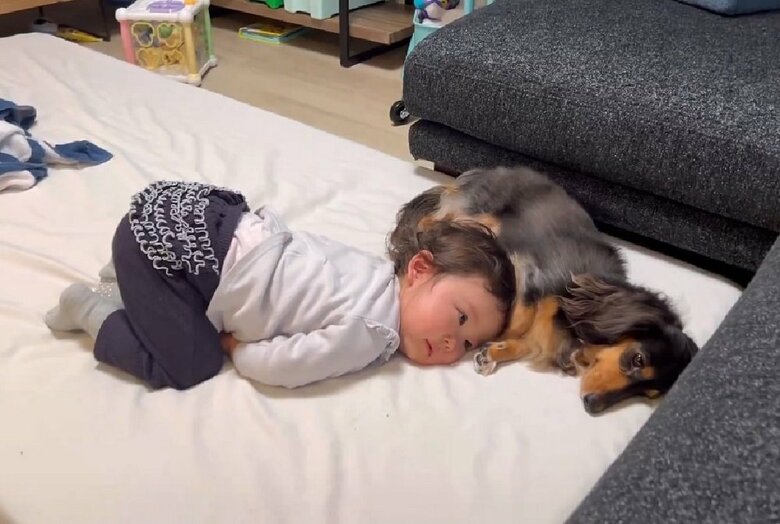 娘さんから、こうちゃんのおなかへくっついてくる