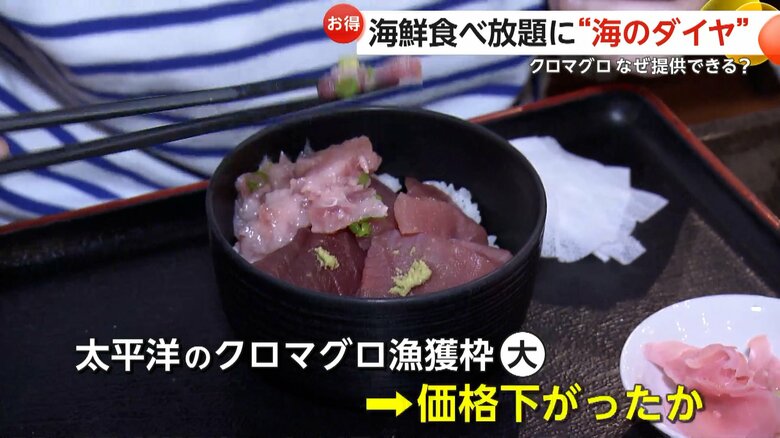 東京・中央区「たいこ茶屋」のマグロ食べ放題ランチで提供されたクロマグロ