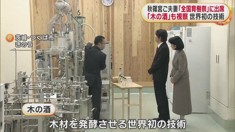 世界初の技術で、木を発酵させて「木の酒」が造られている