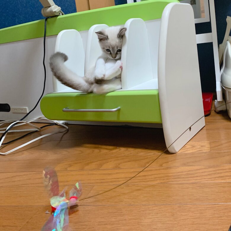 おもちゃで遊ぶ様子