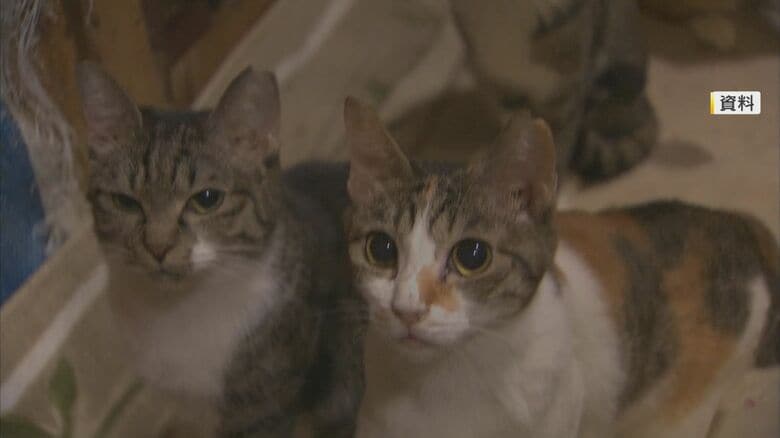 ネコの察処分ゼロへ