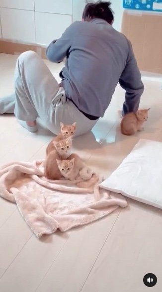 提供：oimo & yuzukiさん