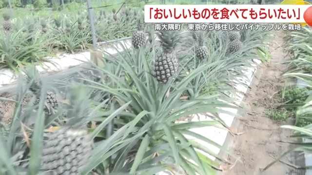 仲さん夫婦は収穫までに2年をかけている