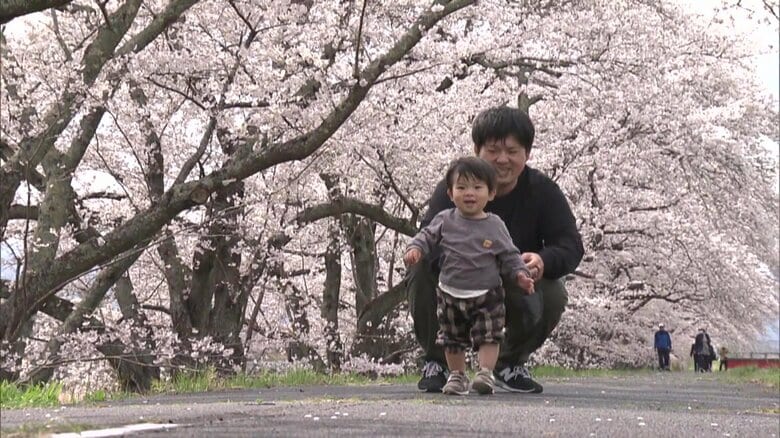 請戸川リバーライン（福島県浪江町）2025年4月10日撮影