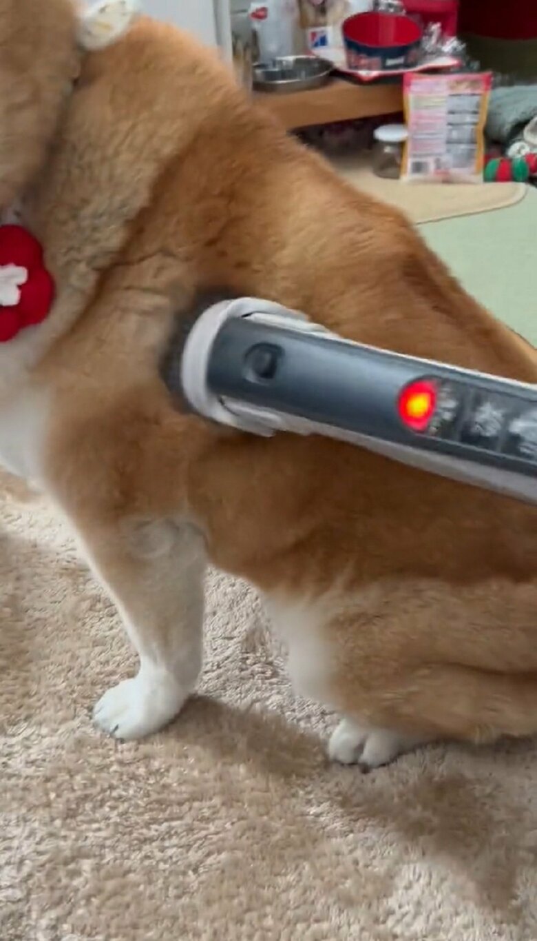 掃除機を体にくっつけて