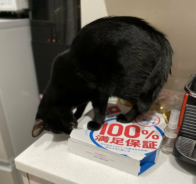 ピザの箱を開けようとする犯行の瞬間