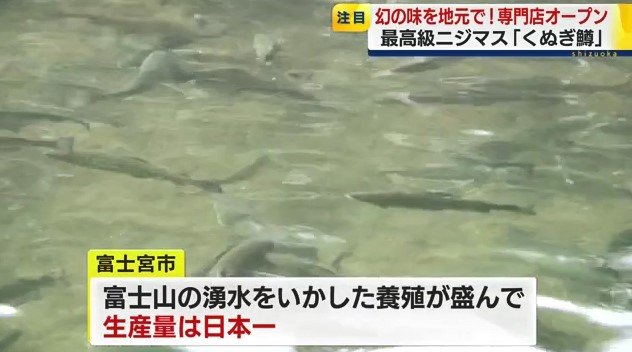 くぬぎ養鱒場（富士宮市）