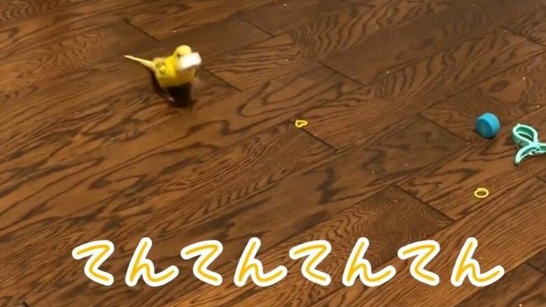 ペットボトルのふたで遊ぶのが好き