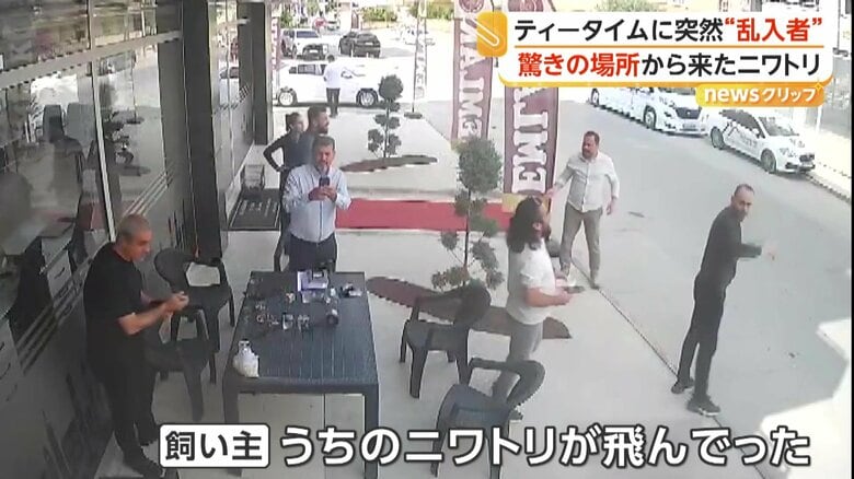 飼い主の声に笑い出す男性たち（IHA）
