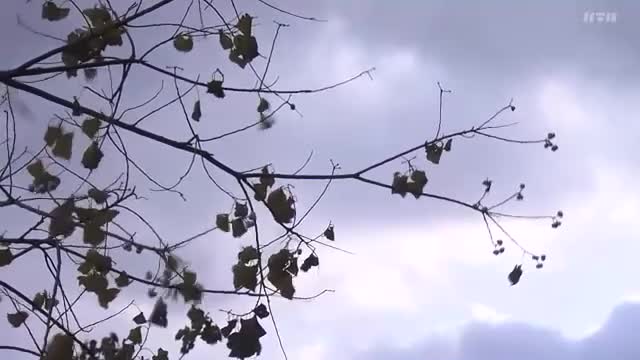 この冬一番の寒さ到来…県内4地点で今季最低の気温 冷たい風に「温かいみそ汁を飲みたい」