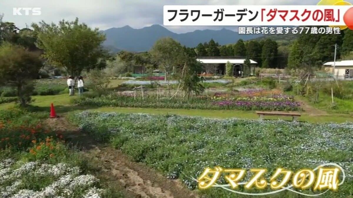 絶対に薬はかけない」 無農薬の園芸貫く園長が育てる花々で人々 絶対に薬はかけない」 無農薬の園芸貫く園長が育てる花々で人々