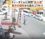 「空から降ってきた？」ニワトリが“ティータイム乱入”で騒然…「うちのニワトリが飛んでった」飼い主の声に爆笑　トルコ