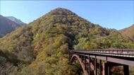 《福島県の紅葉》西郷村・甲子大橋 ここ数日の冷え込みで見ごろに 10月31日撮影