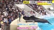 飼育“9000日”で国内記録を更新中　コビレゴンドウ「ユキ」の特別ショー　マリンワールド海の中道　福岡市