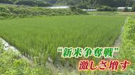 備蓄米放出   今秋の新米価格は？ 争奪戦の様相も   生産者「今年はいま注文を受けている分でストップする予定」 【福岡発】