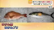 「豊富な食材の魅力を伝えたい」台湾のくら寿司　愛媛県のブランド「みかん鯛」などの寿司を販売へ【愛媛】